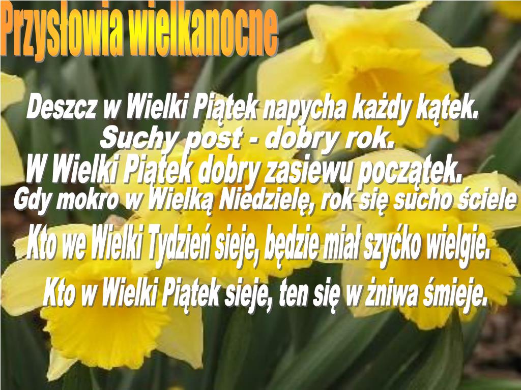 Deszcz w Wielki Piątek napycha każdy kątek